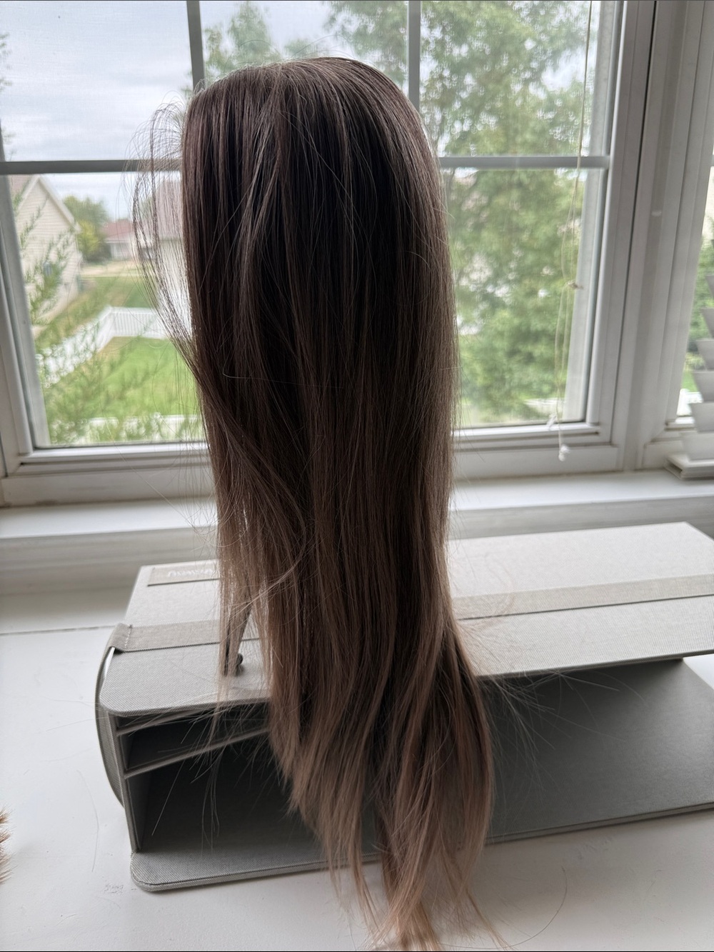 Women’s Long Straight Hair Wig - Brown